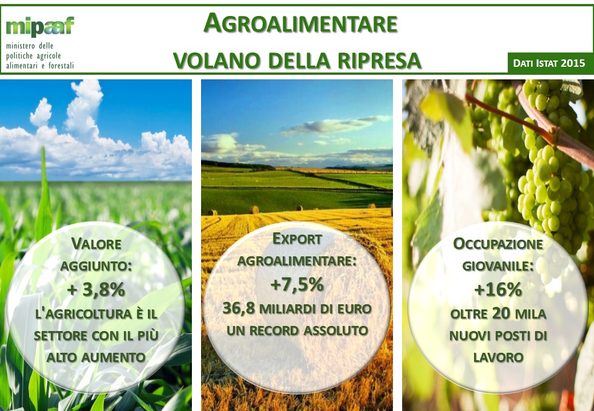 agroalimentare ripresa